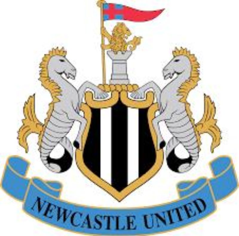 Proposed Takeover of Newcastle United