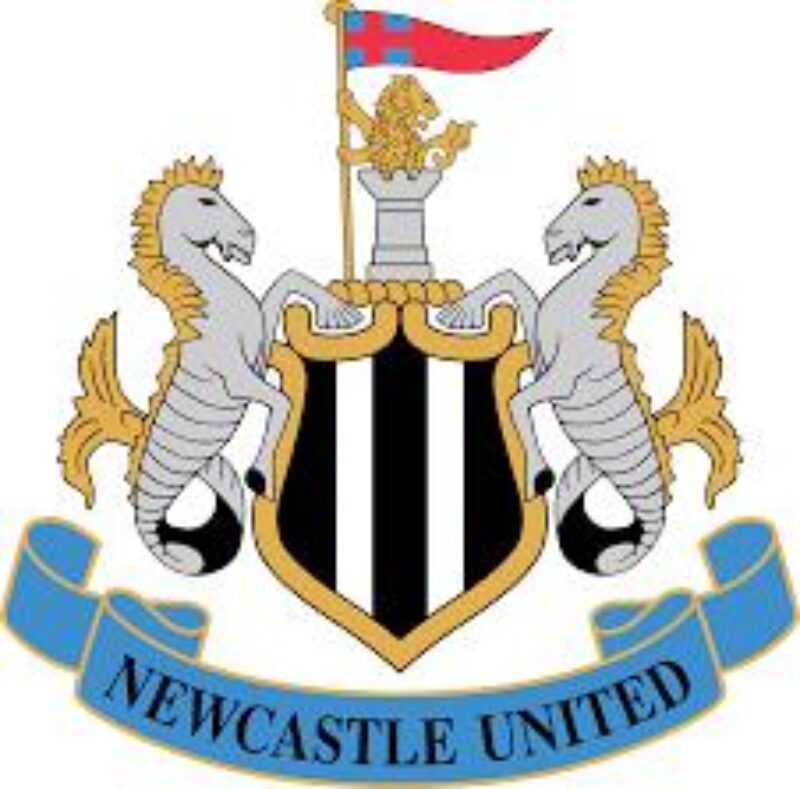 Proposed Takeover of Newcastle United